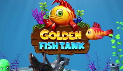 golden fish tank